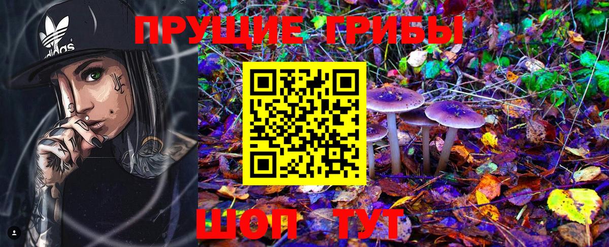 Галлюциногенные грибы Magic Shrooms  Вход с VPN  Егорьевск  Галлюциногенные грибы Psilocybe 
