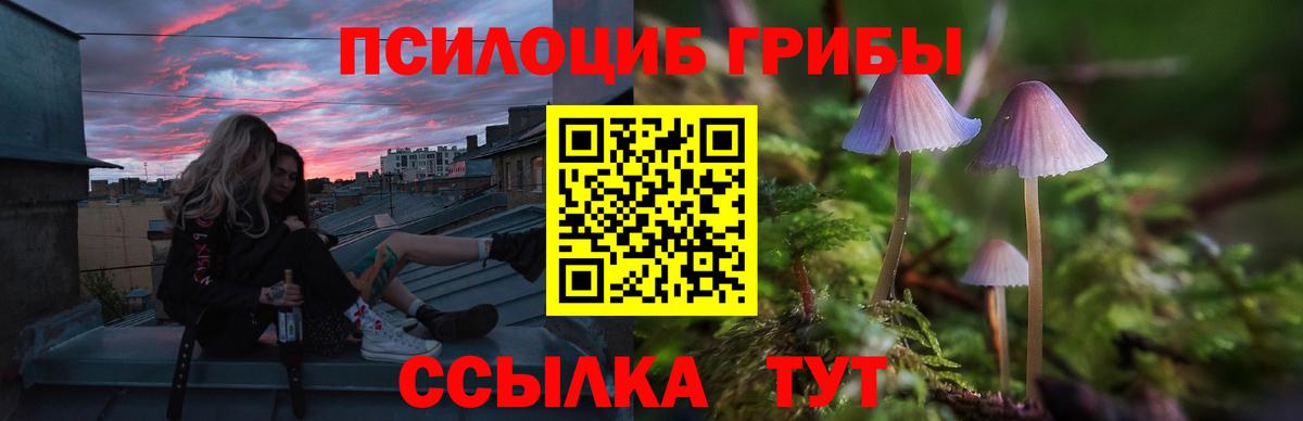 Галлюциногенные грибы мухоморы Егорьевск